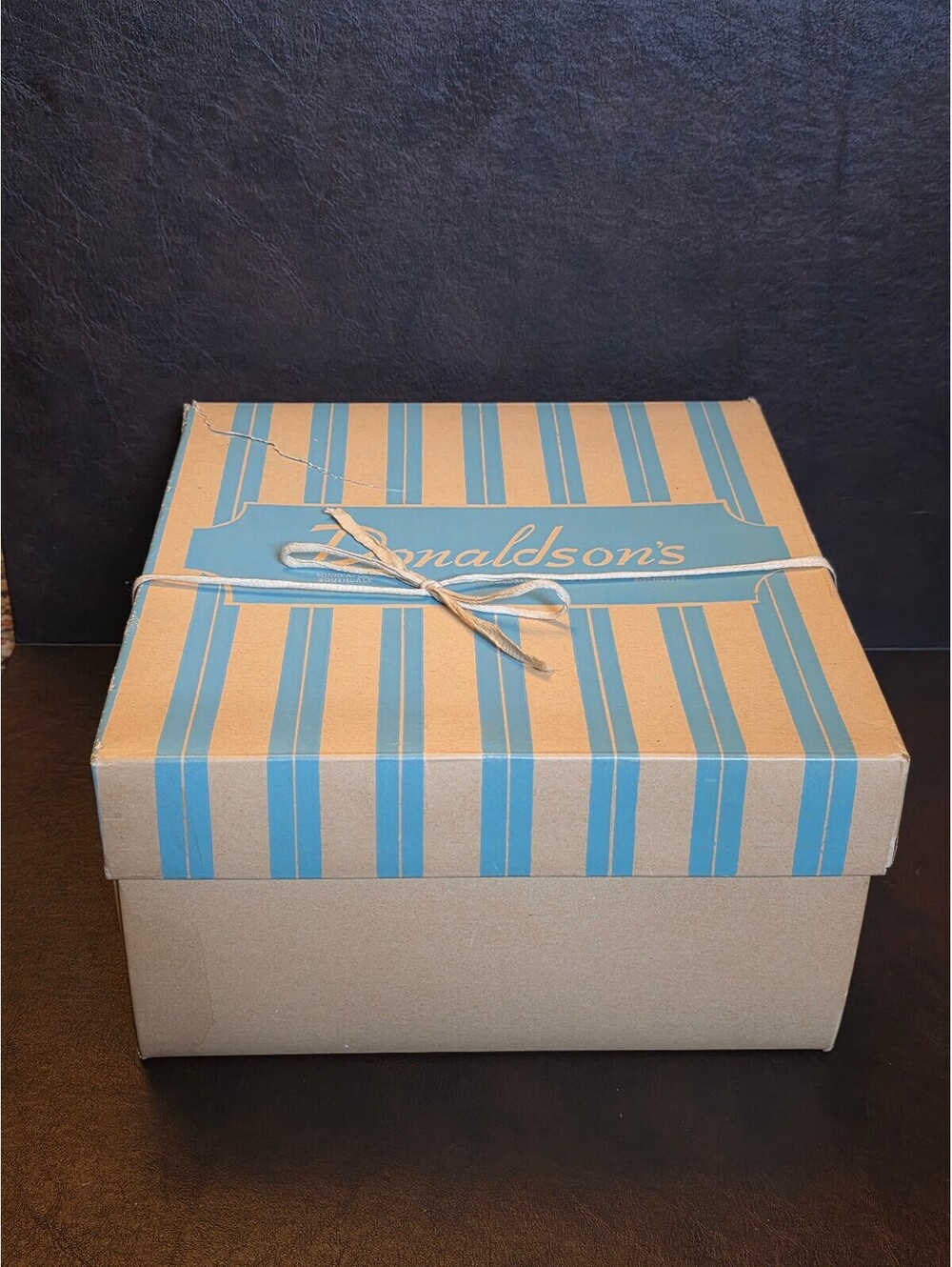 Vintage 1950s Donaldson's Minneapolis Blue Stripe Cardboard Hat Box Display